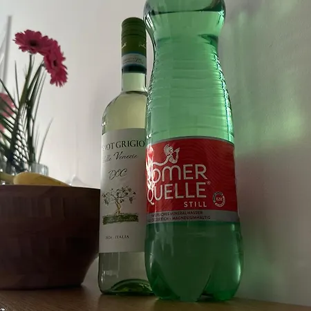 Magnolia Terrace - Free Parking, Family & Sport Friendly Area Apartment